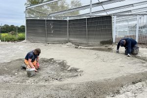 Betonnen waterpoelen voor grote katachtigen